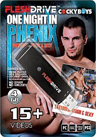 15+ One Night in Phenix Video on 4gb usb FLESHDRIVE